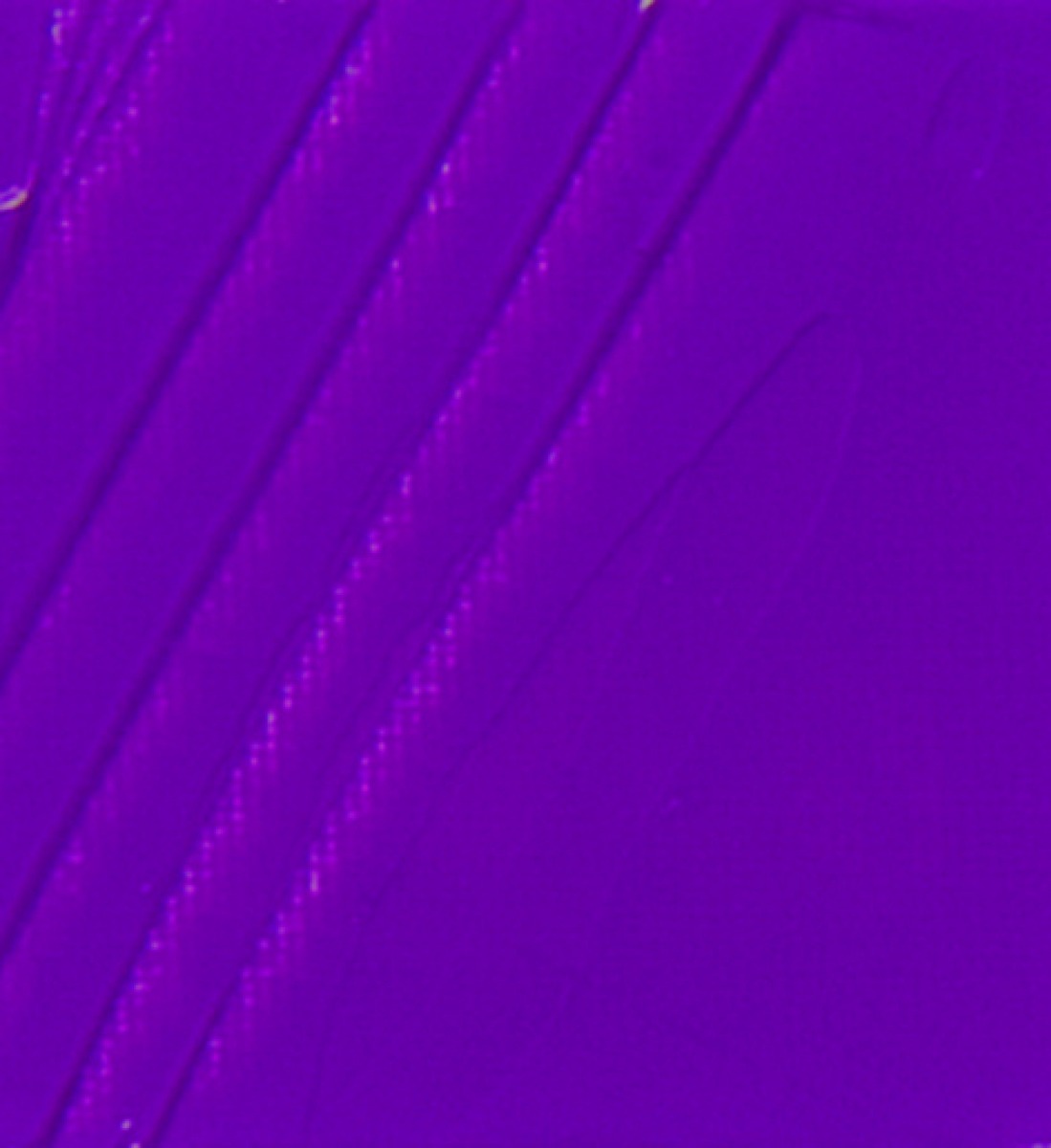 STUDIO XL FINE OIL - LIGHT COBALT VIOLET(28)